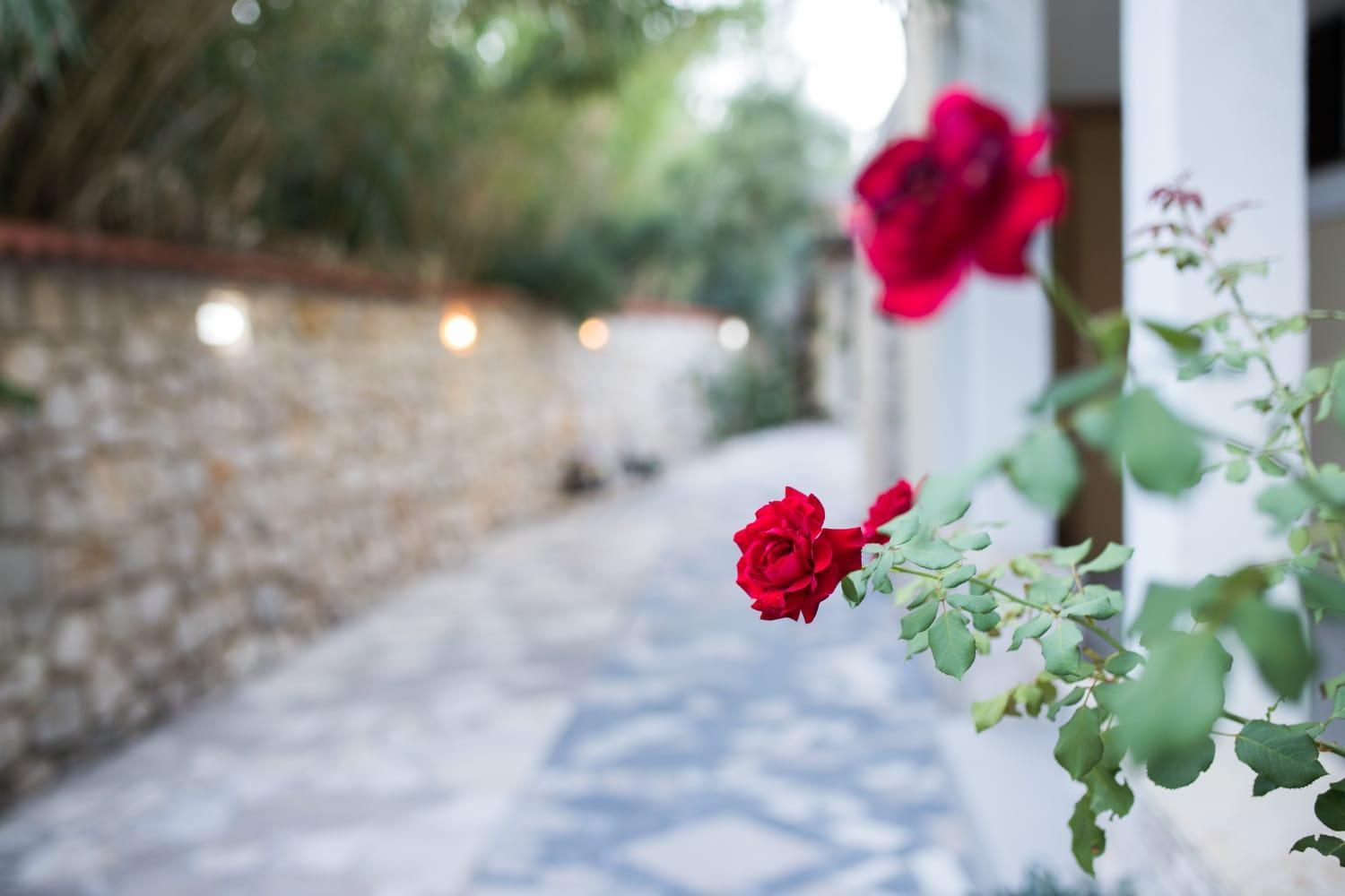 Mb Pag Bed&Breakfast Pag Town Kültér fotó